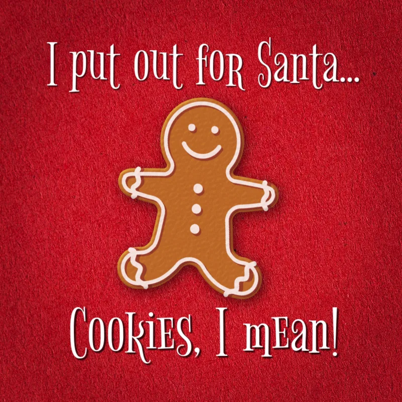 I put out for Santa... cookies, I mean!