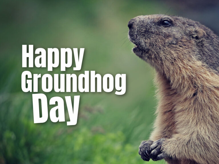 Feature image for article on ways to wish people a Happy Groundhog Day