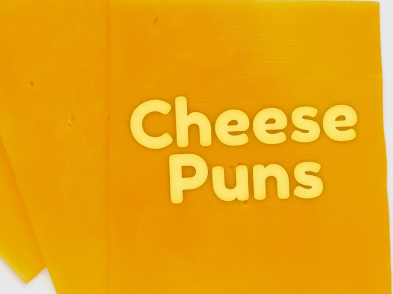 Feature image for article on cheese puns