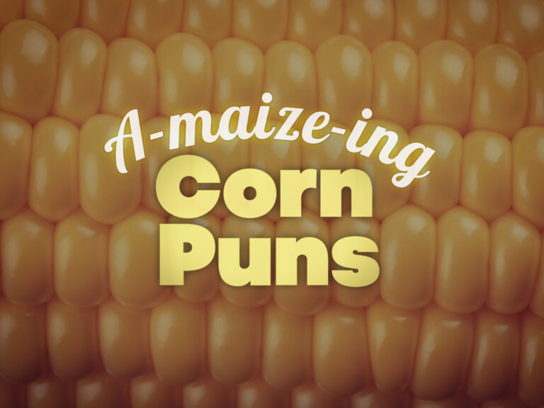 Feature image for article on corn puns