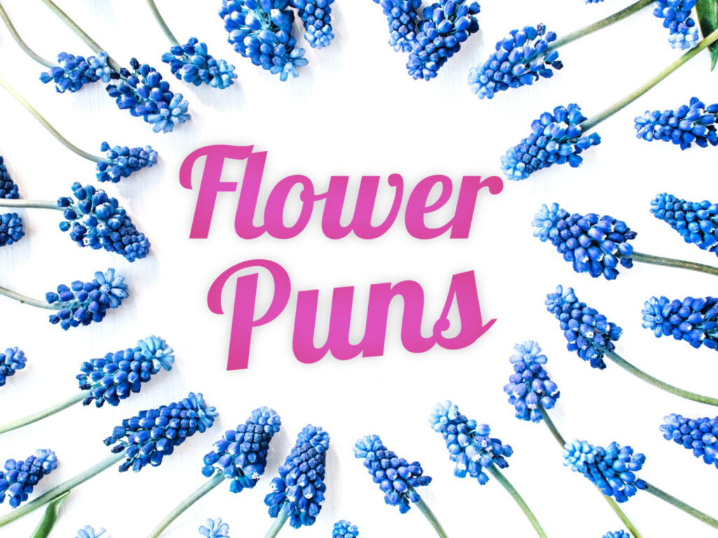 Feature image for article on flower puns