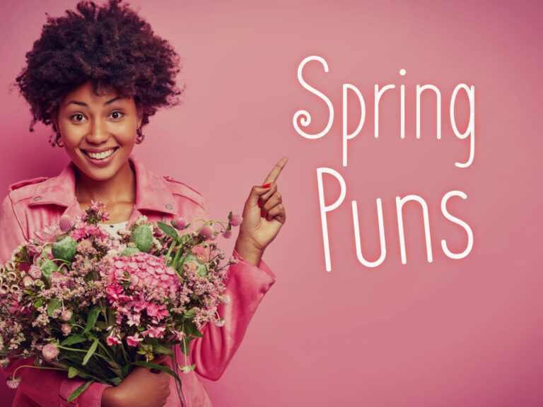 Feature image for article on spring puns